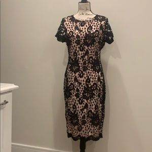 Black and Blush Lace Overlay Midi Dress